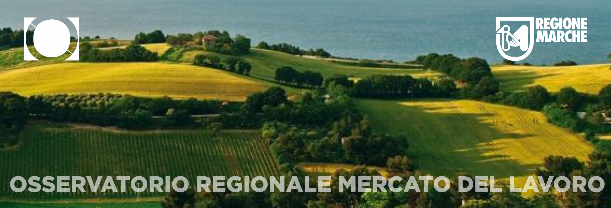 Regione Marche - Osservatorio mercato del lavoro